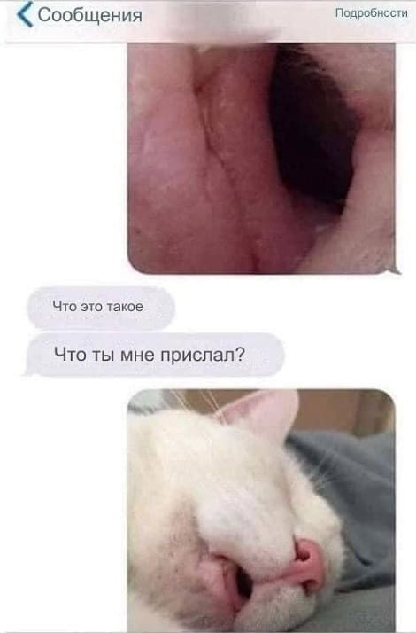 Что это такое?
Что ты мне прислал?