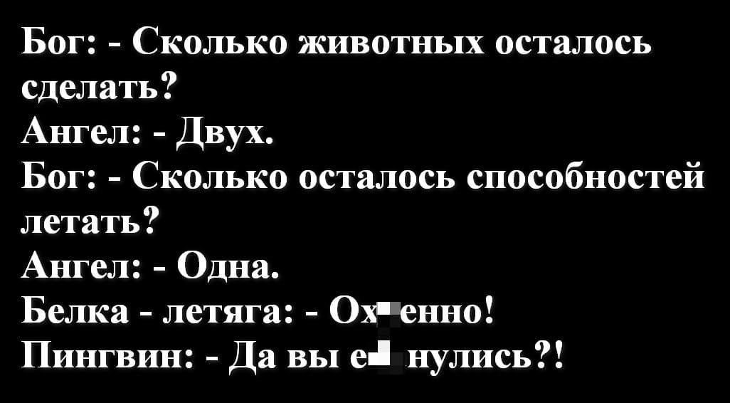 Бог:
– Сколько животных осталось сделать?
Ангел:
– Двух.
Бог:
– Сколько осталось способностей летать?
Ангел:
– Одна.
Белка-летяга:
– Ох*енно!
Пингвин:
– Да вы е6*нулись?!