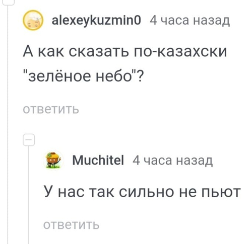 – А как сказать по-казахски «зелёное небо»?
– У нас так сильно не пьют.