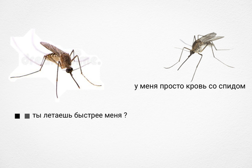 Два комара. Один:
— Почему ты летаешь быстрее меня?
Второй комар:
— Потому что у меня кровь со спидом.