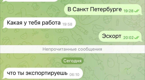 – Откуда ты?
– Санкт-Петербург.
– Чем занимаешься?
– Эскорт.
– И что ты экспортируешь?