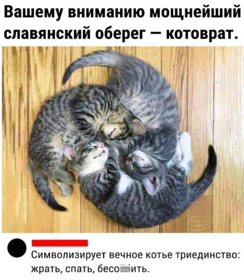 Вашему вниманию мощнейший славянский оберег — котоврат.
Символизирует вечное котье триединство: жрать, спать, бесо**ить.