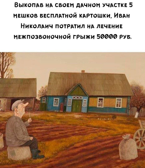 Выкопав на своем дачном участке 5 мешков бесплатной картошки, Иван Николаич потратил на лечение межпозвоночной грыжи 50 000 РУБ.