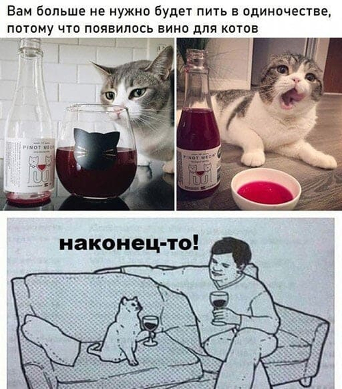 Вам больше не нужно будет пить в одиночестве, потому что появилось вино для котов. Наконец-то.
