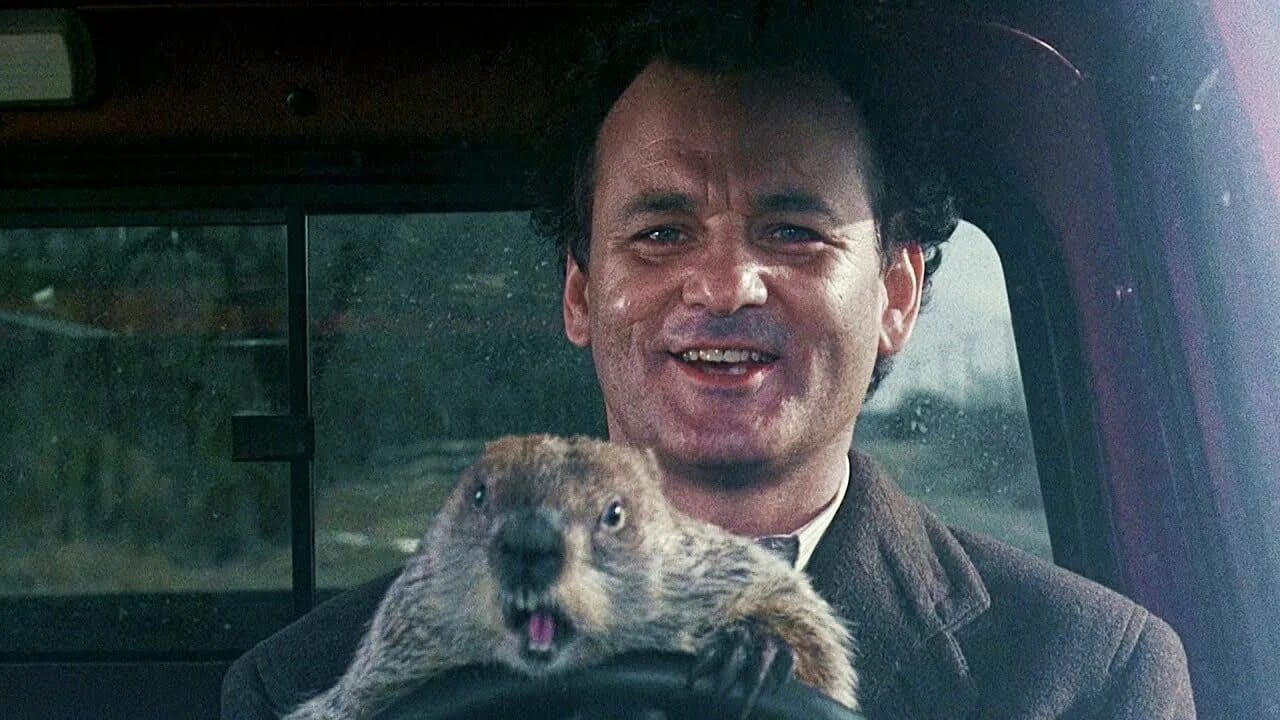 *С Днём Сурка*