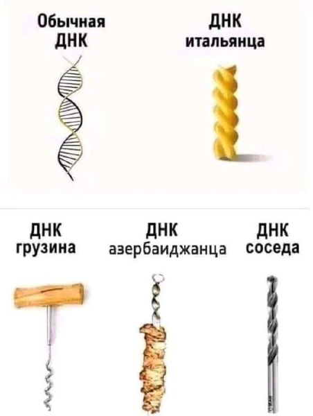 *Обычная ДНК, ДНК итальянца, ДНК грузина, ДНК азербайджанца, ДНК соседа*