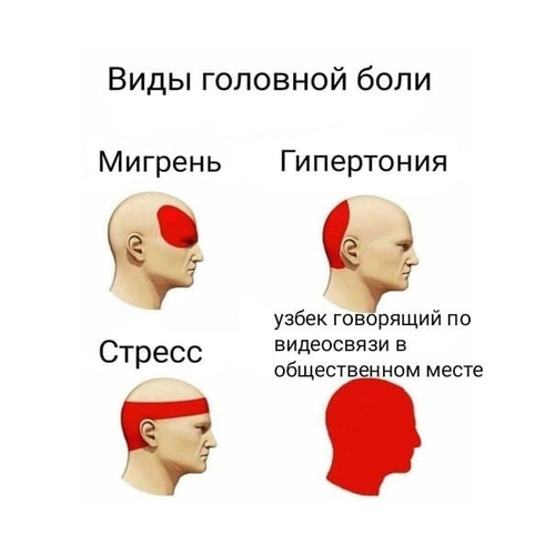 Виды головной боли: Мигрень, Гипертония, Стресс, узбек говорящий по видеосвязи в общественном месте.