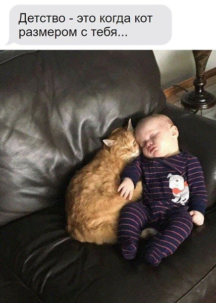 Детство — это когда кот размером с тебя...