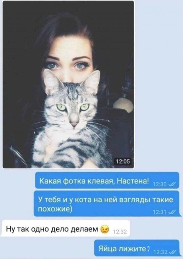 – Какая фотка клевая, Настена! У тебя и у кота на ней взгляды такие похожие) – Ну так одно дело делаем.
– Яйца лижите?