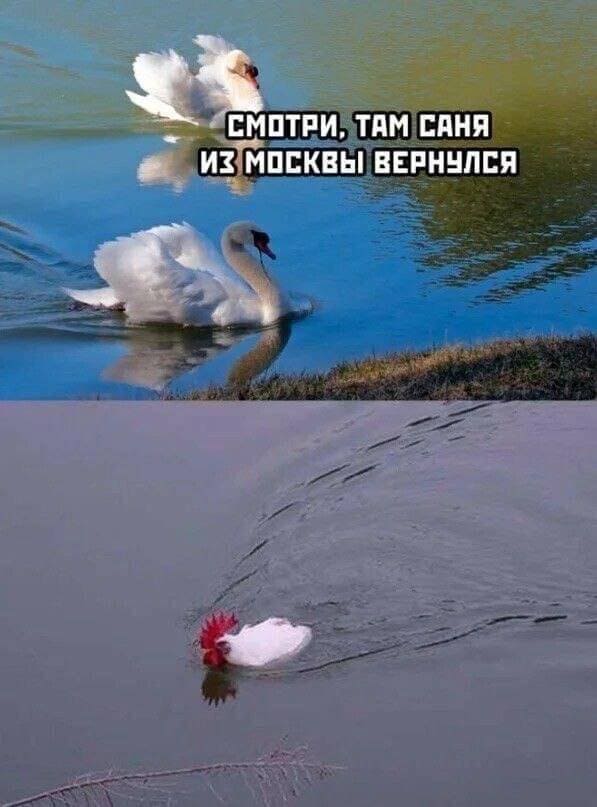 *Смотри, там Саня из Москвы вернулся*