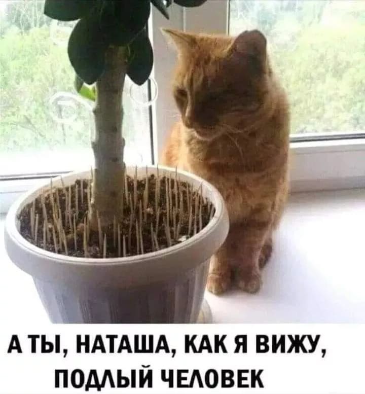 *А ТЫ, НАТАША, КАК Я ВИЖУ, ПОДЛЫЙ ЧЕЛОВЕК*