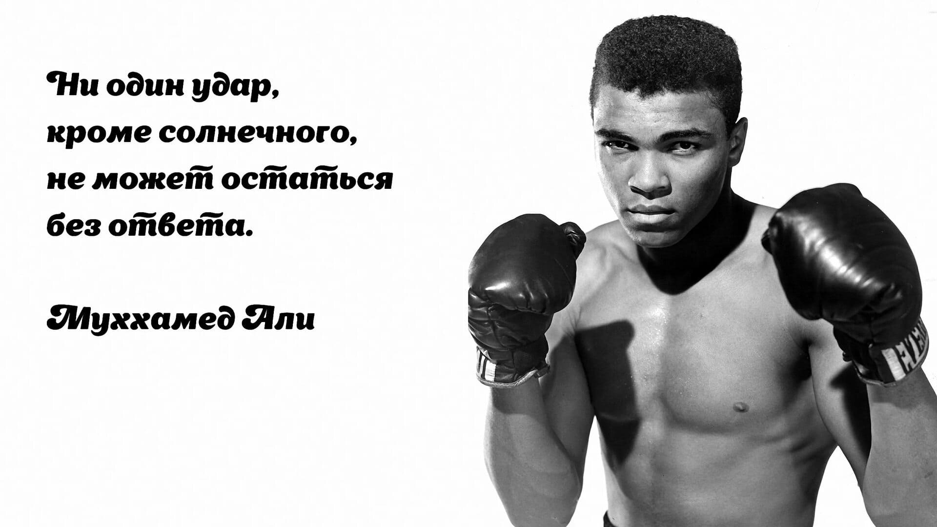 Ни один удар, кроме солнечного, не может остаться без ответа.
Мухаммед Али