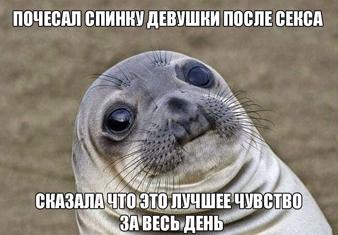 *Почесал девушке спинку после секса. Сказала, что это лучшее чувство, что было у неё за день...*