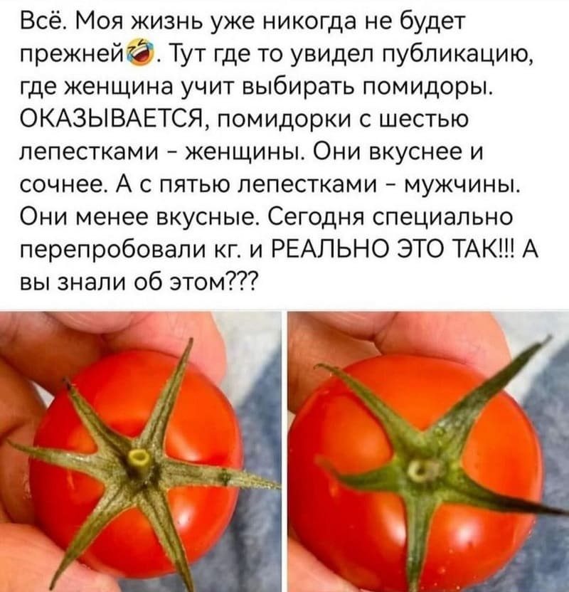 Всё. Моя жизнь уже никогда не будет прежней^. Тут где то увидел публикацию, где женщина учит выбирать помидоры. ОКАЗЫВАЕТСЯ, помидорки с шестью лепестками – женщины. Они вкуснее и сочнее. А с пятью лепестками – мужчины. Они менее вкусные. Сегодня специально перепробовали кг. и РЕАЛЬНО ЭТО ТАК!!! А вы знали об этом???