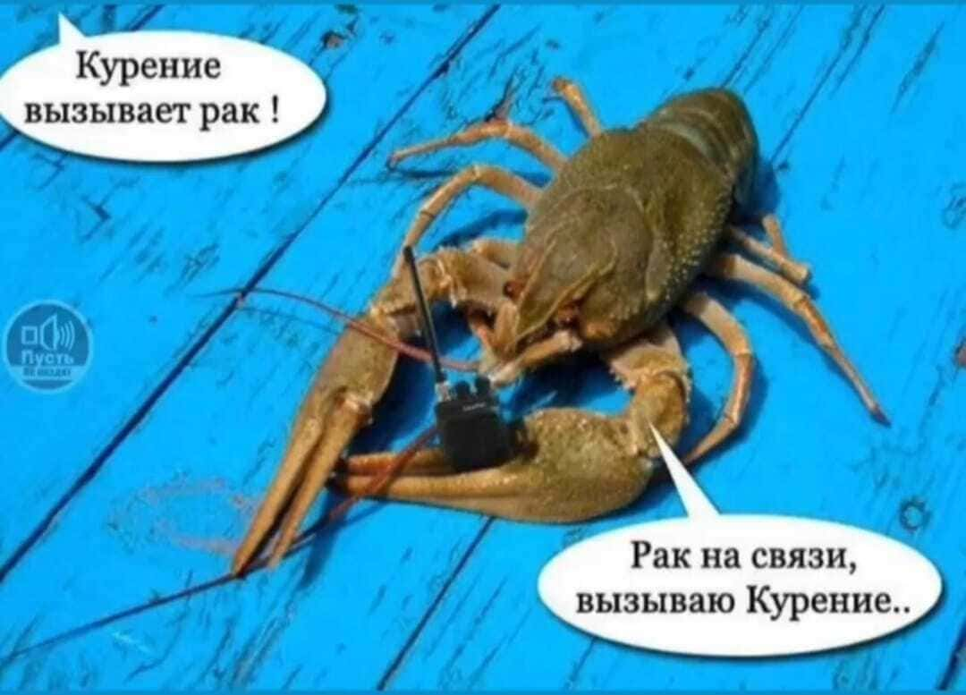 – Курение вызывает рак!
– Рак на связи, вызываю Курение...