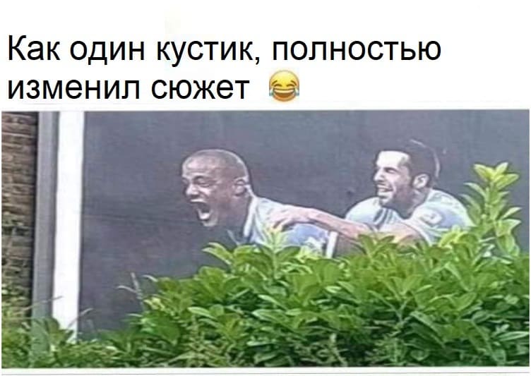 *Как один кустик полностью изменил сюжет*