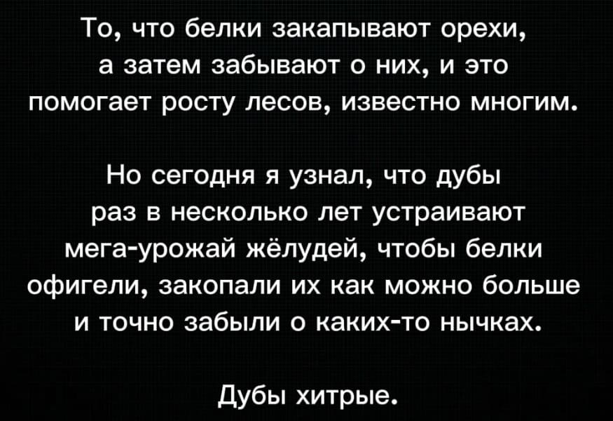 То, что белки закапывают орехи, а затем забывают о них, и это помогает росту лесов, известно многим.
Но сегодня я узнал, что дубы раз в несколько лет устраивают мега-урожай жёлудей, чтобы белки офигели, закопали их как можно больше и точно забыли о каких-то нычках.
Дубы хитрые.