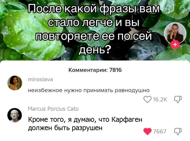 *После какой фразы вам стало легче и вы повторяете её по сей день?*
miroslava:
– Неизбежное нужно принимать равнодушно
Marcus Porcius Cato:
– Кроме того, я думаю, что Карфаген должен быть разрушен.