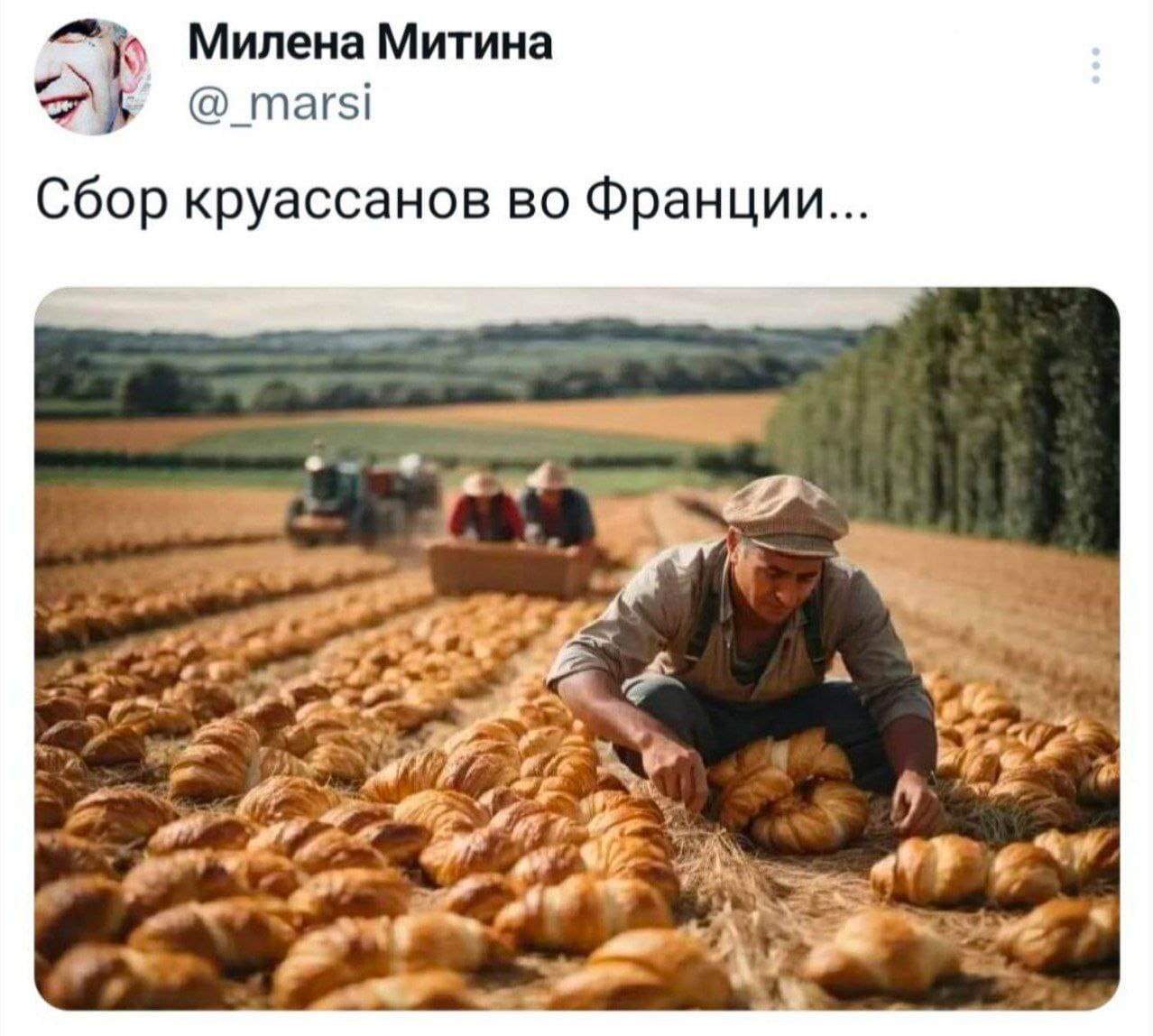 *Сбор круассанов во Франции...*