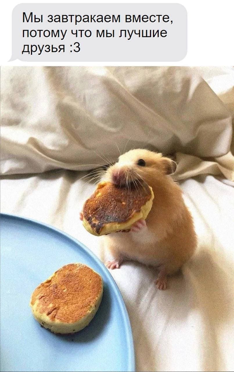 *Мы завтракаем вместе, потому что мы лучшие друзья*