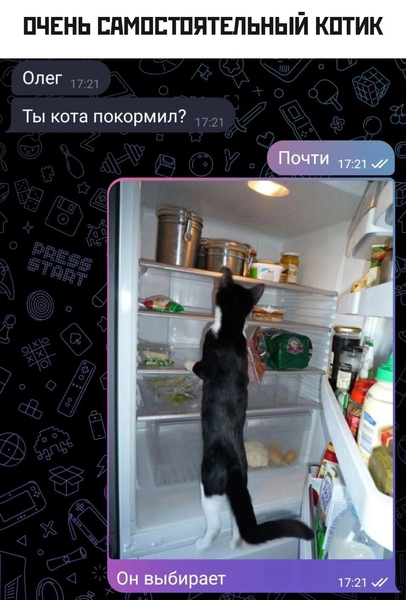 *Очень самостоятельный котик*
– Олег, ты кота покормил?
– Почти.
– В смысле?
– Он выбирает.