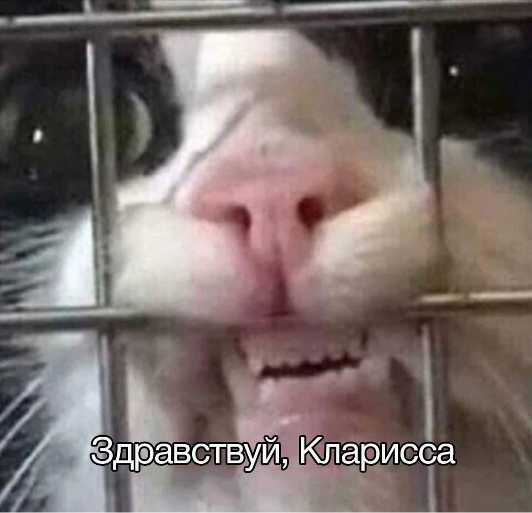 *Здравствуй, Кларисса*