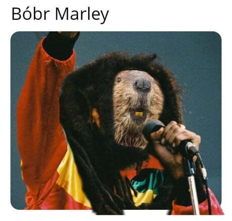 *Bobr Marley*