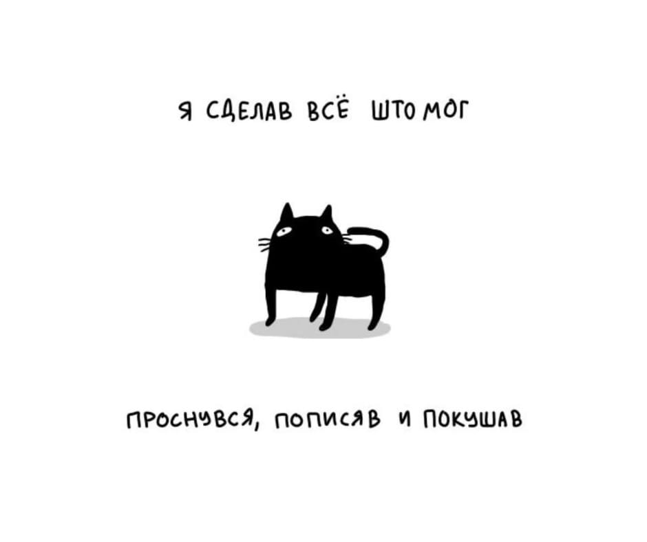 *Я СДЕЛАВ ВСЁ ШТО МОГ. ПРОСНУВСЯ, ПОПИСЯВ И ПОКУШАВ*