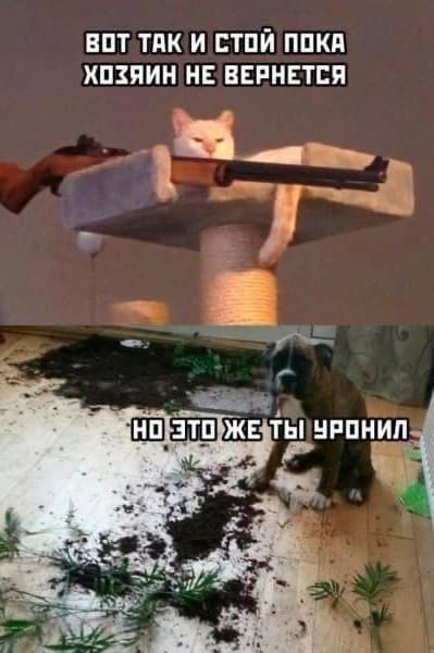 Кот:
– Вот так и стой, пока хозяин не придёт.
Собакен:
– Но это же ты уронил!