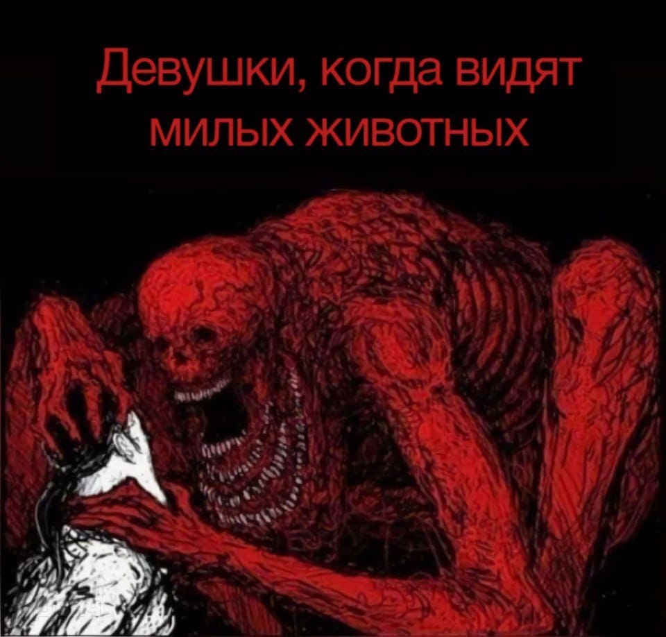 *Девушки, когда видят милых животных*