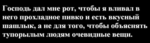 Господь дал мне рот, чтобы я вливал в него прохладное пивко и есть вкусный шашлык, а не для того, чтобы объяснять тупорылым людям очевидные вещи.