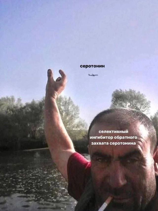 *Серотонин и Селективный ингибитор обратного захвата серотонина*