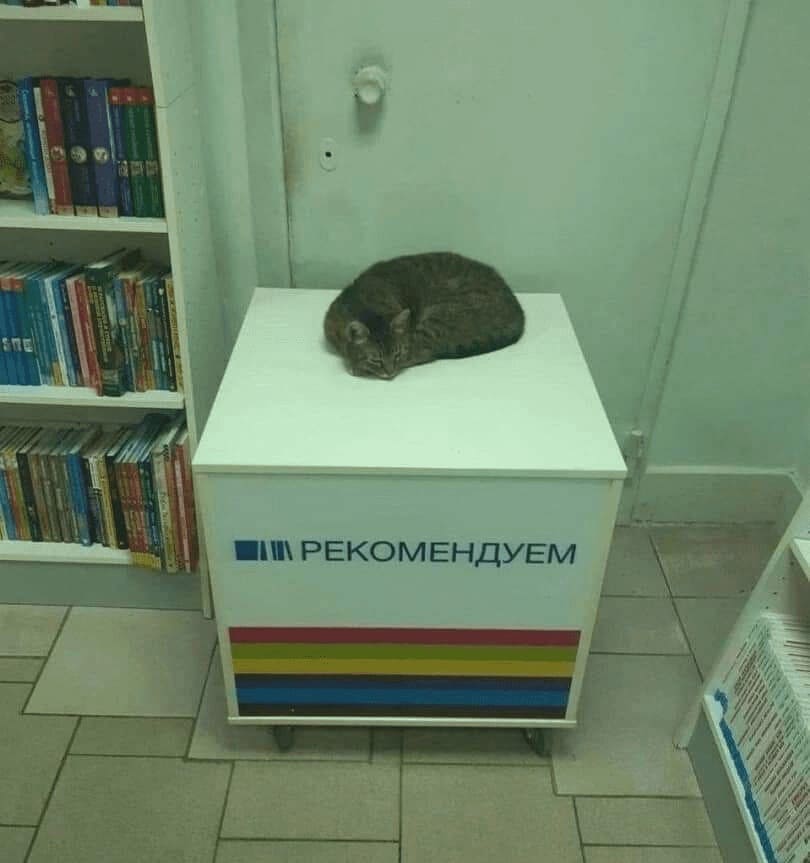 *Рекомендуем*