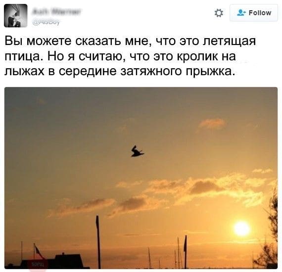 Вы можете сказать мне, что это летящая птица. Но я считаю, что это кролик на лыжах в середине затяжного прыжка.