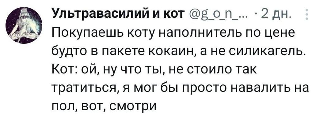 Покупаешь коту наполнитель по цене будто в пакете кокаин, а не силикагель. Кот: ой, ну что ты, не стоило так тратиться, я мог бы просто навалить на пол, вот, смотри.