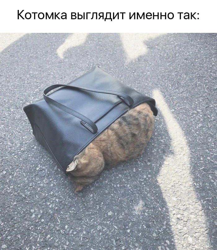 Котомка выглядит именно так: