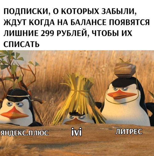 *Подписки, о которых забыли, ждут когда на балансе появятся лишние 299 рублей, чтобы их списать*
*Яндекс.Плюс, IVI, Литрес*