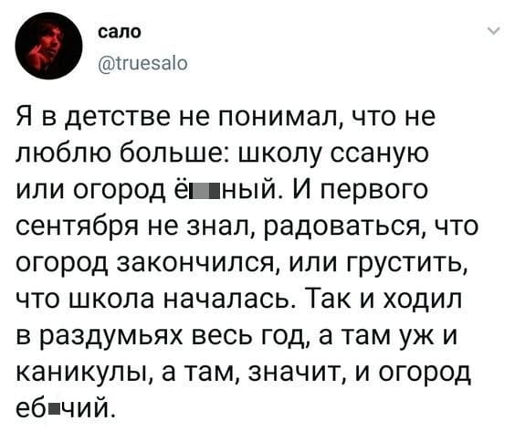 Я в детстве не понимал, что не люблю больше: школу ссаную или огород ё6*ный. И первого сентября не знал, радоваться, что огород закончился, или грустить, что школа началась. Так и ходил в раздумьях весь год, а там уж и каникулы, а там, значит, и огород е6*чий.