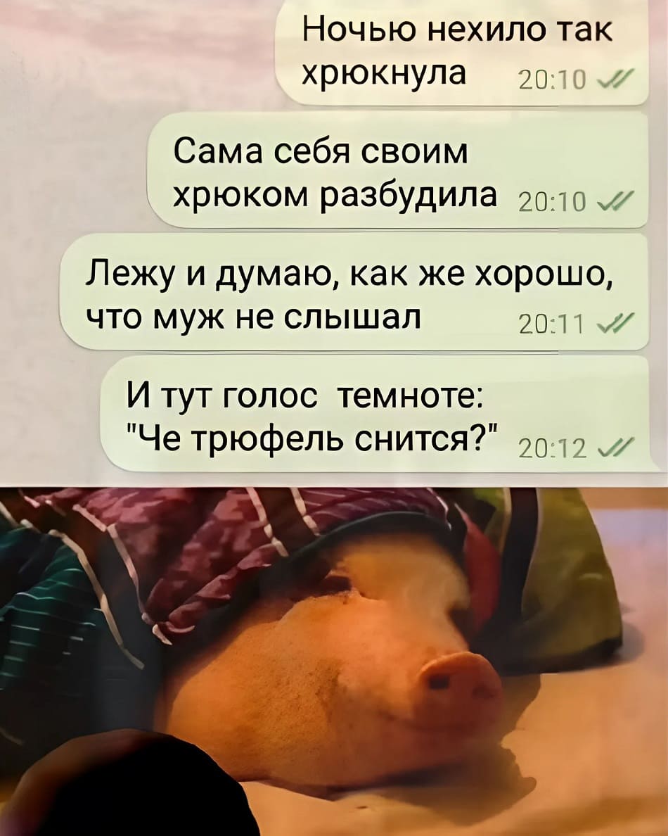 Ночью нехило так хрюкнула. Сама себя своим хрюком разбудила. Лежу и думаю, как же хорошо, что муж не слышал. И тут голос темноте: «Че трюфель снится?».