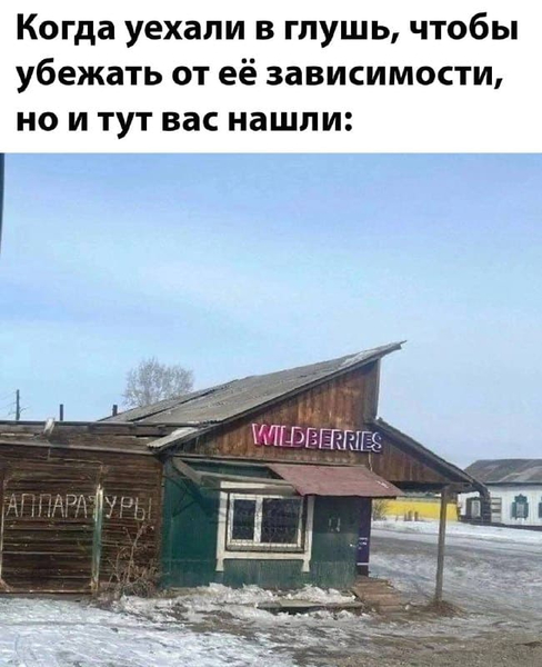 Когда уехали в глушь, чтобы убежать от её зависимости, но и тут вас нашли:
*WILDBERRIES*