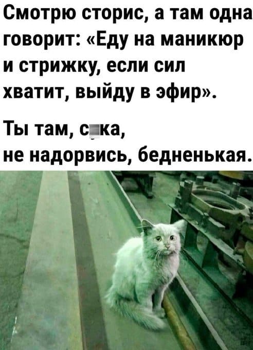 Смотрю сторис, а там одна говорит: «Еду на маникюр и стрижку, если сил хватит, выйду в эфир».
Ты там, с*ка, не надорвись, бедненькая.