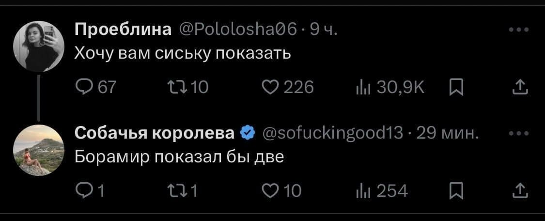 – Хочу вам сиську показать.
– Борамир показал бы две.