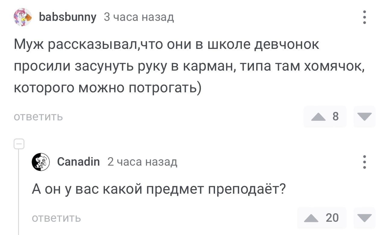 – Муж рассказывал, что они в школе девчонок просили засунуть руку в карман, типа там хомячок, которого можно потрогать.
– А он у вас какой предмет преподаёт?