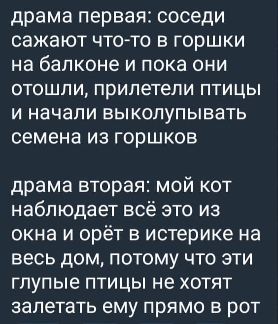Драма первая: соседи сажают что-то в горшки на балконе и пока они отошли, прилетели птицы и начали выколупывать семена из горшков.
Драма вторая: мой кот наблюдает всё это из окна и орёт в истерике на весь дом, потому что эти глупые птицы не хотят залетать ему прямо в рот.