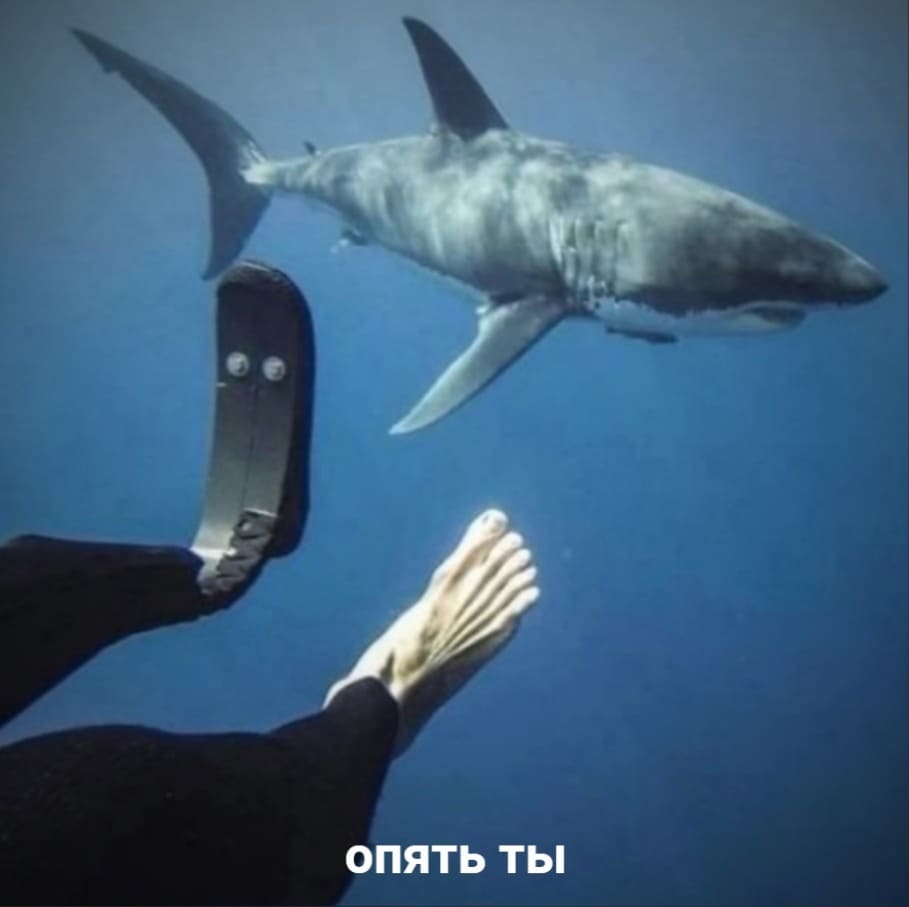 Встреча под водой одноногого дайвера и акулы:
– Опять ты!
