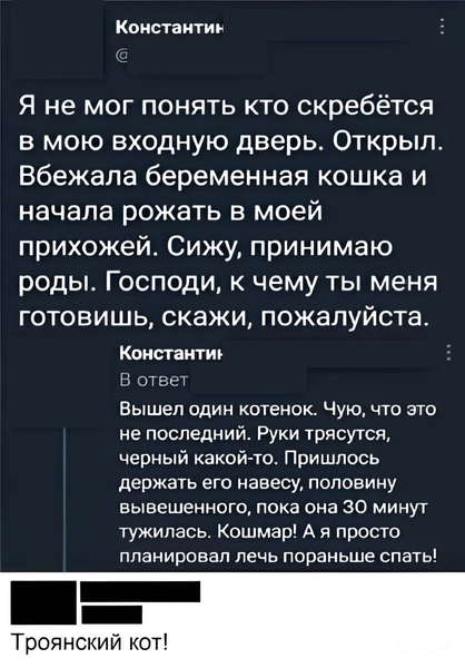 – Я не мог понять кто скребётся в мою входную дверь. Открыл Вбежала беременная кошка и начала рожать в моей прихожей. Сижу, принимаю роды. Господи, к чему ты меня готовишь, скажи, пожалуйста. Вышел один котенок. Чую, что это не последний. Руки трясутся, черный какой-то. Пришлось держать его навесу, половину вывешенного, пока она 30 минут тужилась. Кошмар! А я просто планировал лечь пораньше спать!
– Троянский кот.