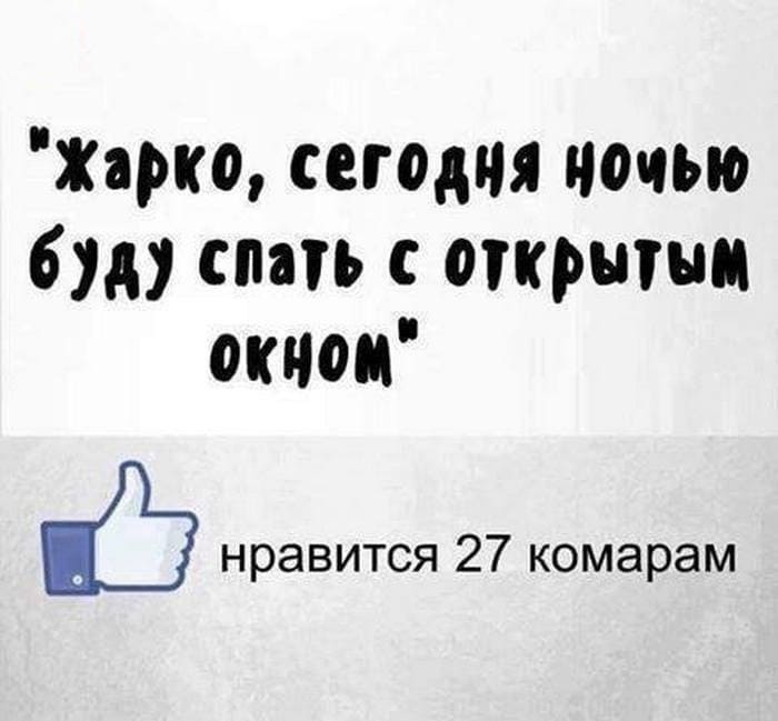 «Жарко, сегодня ночью буду спать с открытым окном»
*Нравится 27 комарам*