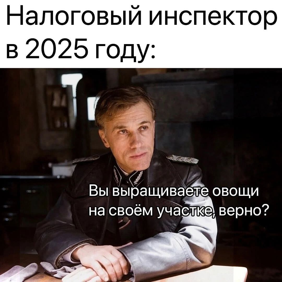 Налоговый инспектор в 2025 году:
– Вы выращиваете овощи на своём участке, верно?