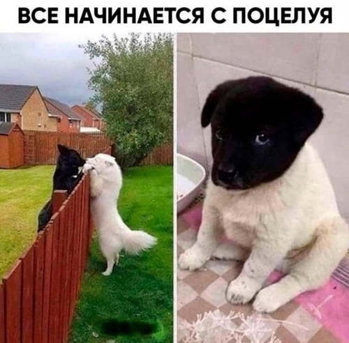 *ВСЁ НАЧИНАЕТСЯ С ПОЦЕЛУЯ*