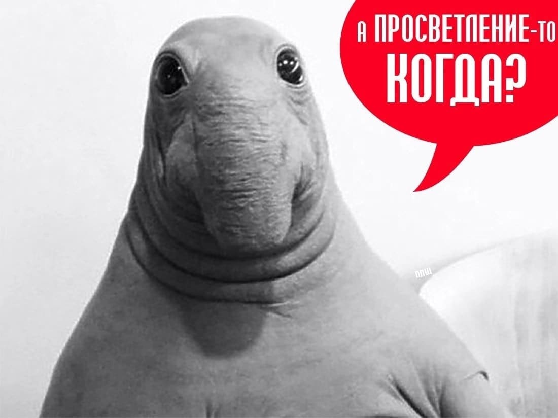 – А просветление когда?